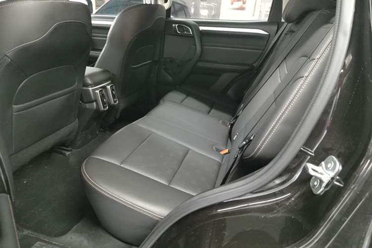 Used Haval DARGO 2021 1.5T DCT Two-Wheel Drive Border Collie Edition Left Rear Seat
