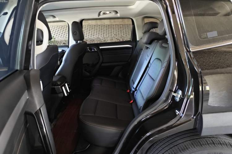 Used Haval DARGO 2021 1.5T DCT Two-Wheel Drive Border Collie Edition Left Rear Seat