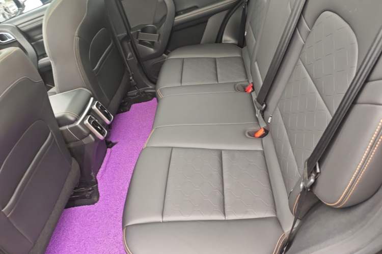 Used Haval DARGO 2021 1.5T DCT Two-Wheel Drive Labrador Edition Left Rear Seat