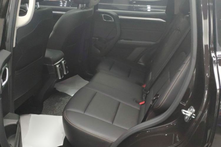 Used Haval DARGO 2021 1.5T DCT Two-Wheel Drive Border Collie Edition Left Rear Seat