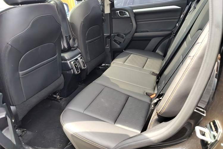 Used Haval DARGO 2021 2.0T DCT 4x4 Chinese Rural Dog Edition Left Rear Seat
