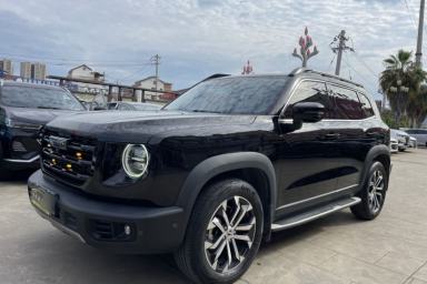 Used Haval DARGO 2021 1.5T DCT Two-Wheel Drive "Mǎquǎn" Edition
