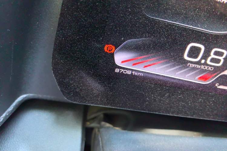 Used Haval DARGO 2021 2.0T DCT 4x4 Chinese Rural Dog Edition Odometer Close Up