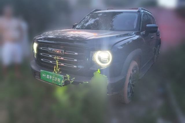 Used Haval DARGO 2021 1.5T DCT Two-Wheel Drive Border Collie Edition