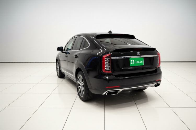 Used Haval DARGO 2021 Revised Version 2.0T DCT Four-Wheel Drive "Hao Tian Que" Edition Rear