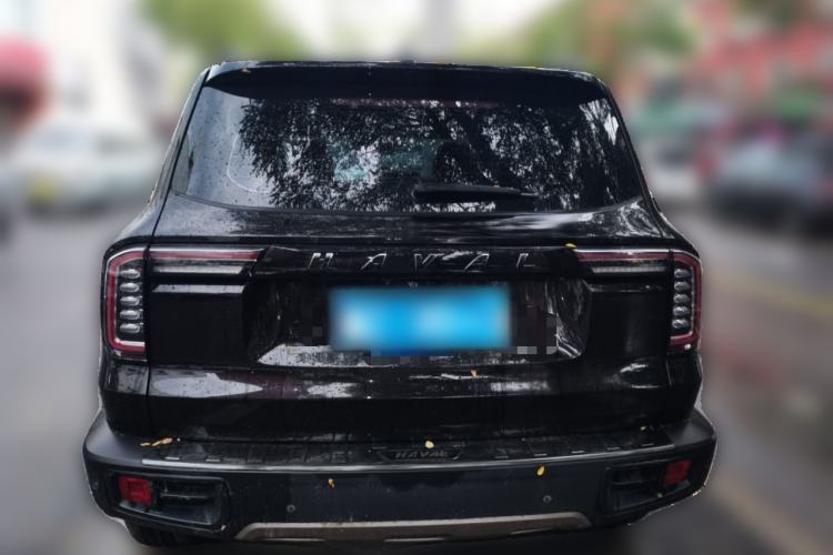 Used Haval DARGO 2021 1.5T DCT Two-Wheel Drive Border Collie Edition Rear
