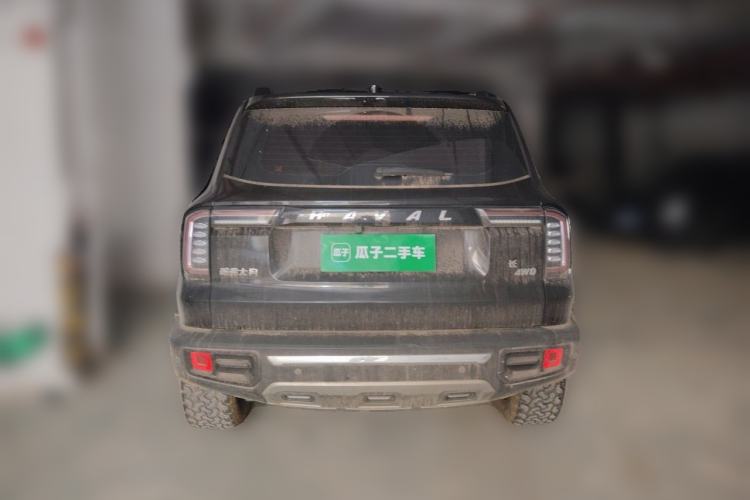 Used Haval DARGO 2021 2.0T DCT 4x4 Chinese Rural Dog Edition Rear