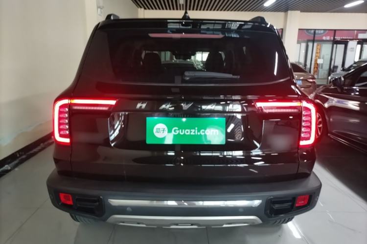 Used Haval DARGO 2021 2.0T DCT 4x4 Chinese Rural Dog Edition Rear