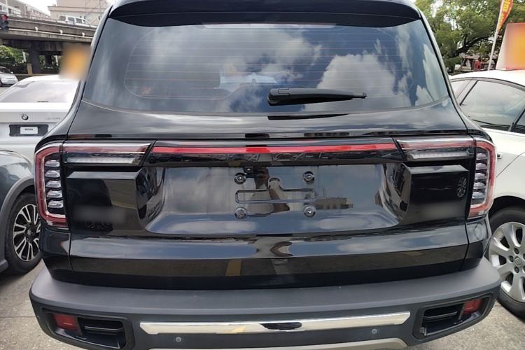 Used Haval DARGO 2021 2.0T DCT 4x4 Chinese Rural Dog Edition Rear