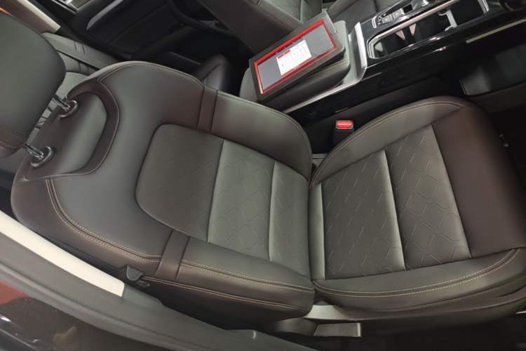 Used Haval DARGO 2021 2.0T DCT 4x4 Chinese Rural Dog Edition Right Front Seat