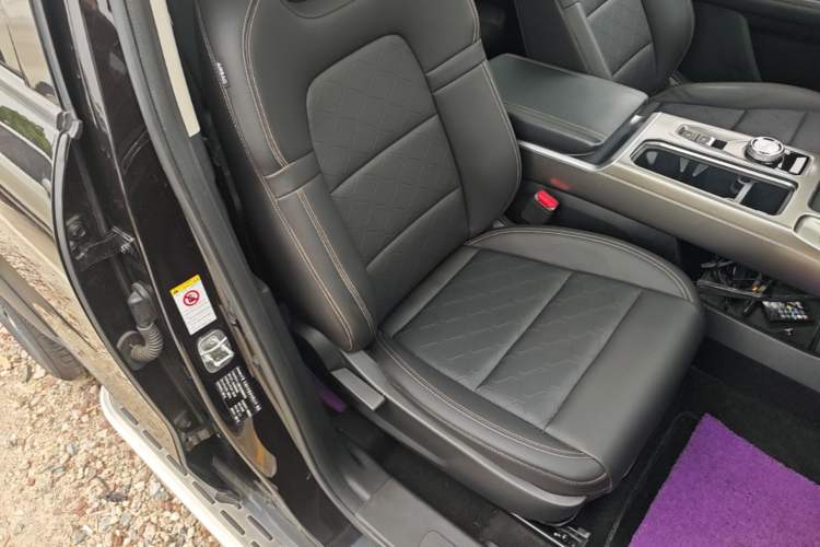 Used Haval DARGO 2021 1.5T DCT Two-Wheel Drive Labrador Edition Right Front Seat