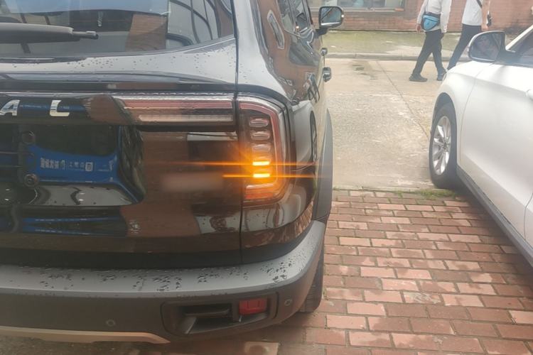 Used Haval DARGO 2021 1.5T DCT Two-Wheel Drive Border Collie Edition Right Rear Taillight