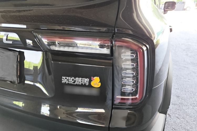 Used Haval DARGO 2021 1.5T DCT Two-Wheel Drive Border Collie Edition Right Rear Taillight