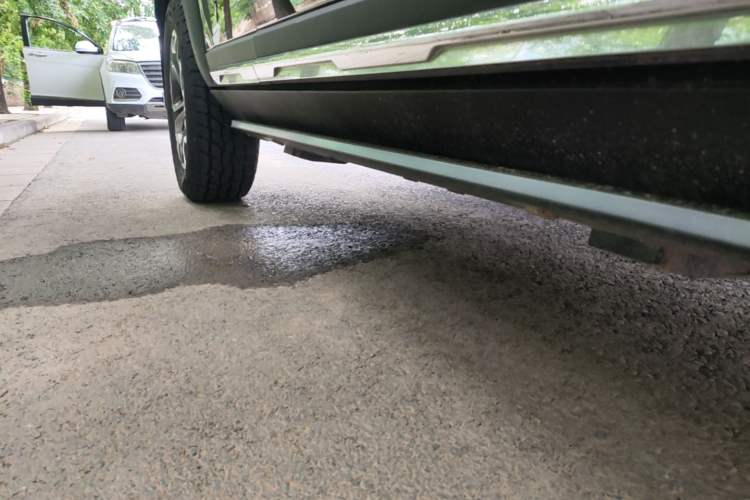 Used Haval DARGO 2021 2.0T DCT All-Wheel-Drive "Hao Tian Quan" Edition Right Side Sill