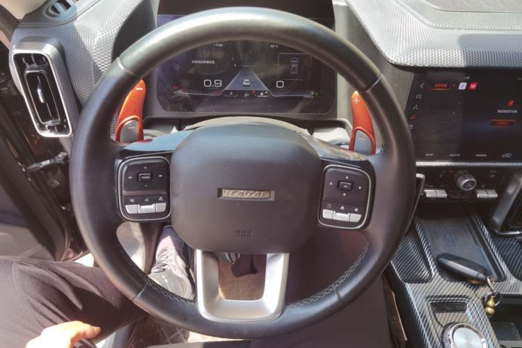 Used Haval DARGO 2021 2.0T DCT Two-Wheel Drive Chinese Mastiff Edition Steering Wheel