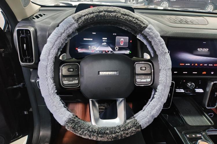 Used Haval DARGO 2021 1.5T DCT Two-Wheel Drive Border Collie Edition Steering Wheel