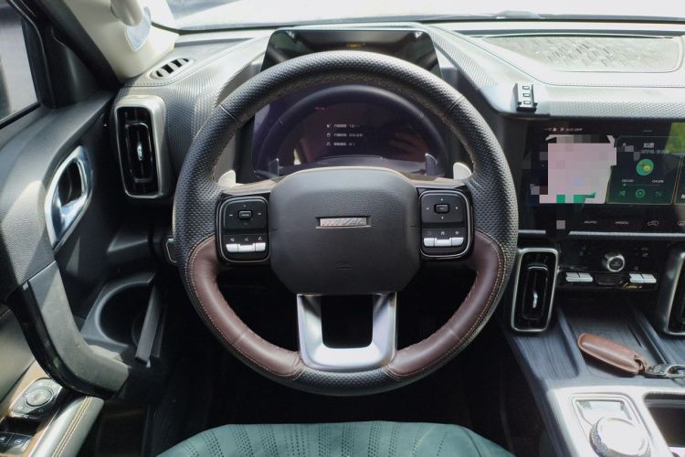 Used Haval DARGO 2021 1.5T DCT Two-Wheel Drive "Mǎquǎn" Edition Steering Wheel