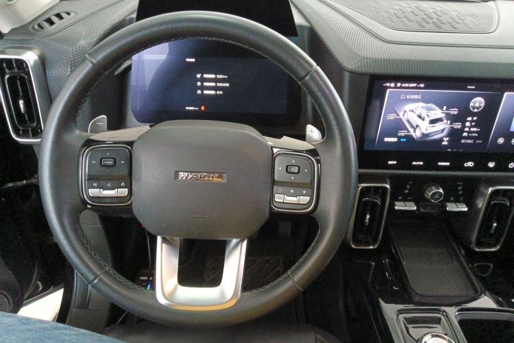Used Haval DARGO 2021 2.0T DCT 4x4 Chinese Rural Dog Edition Steering Wheel