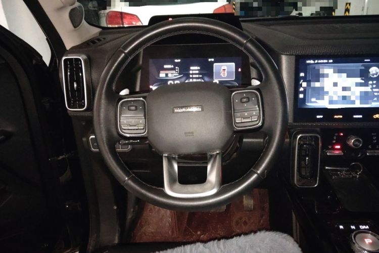 Used Haval DARGO 2021 2.0T DCT 4x4 Chinese Rural Dog Edition Steering Wheel