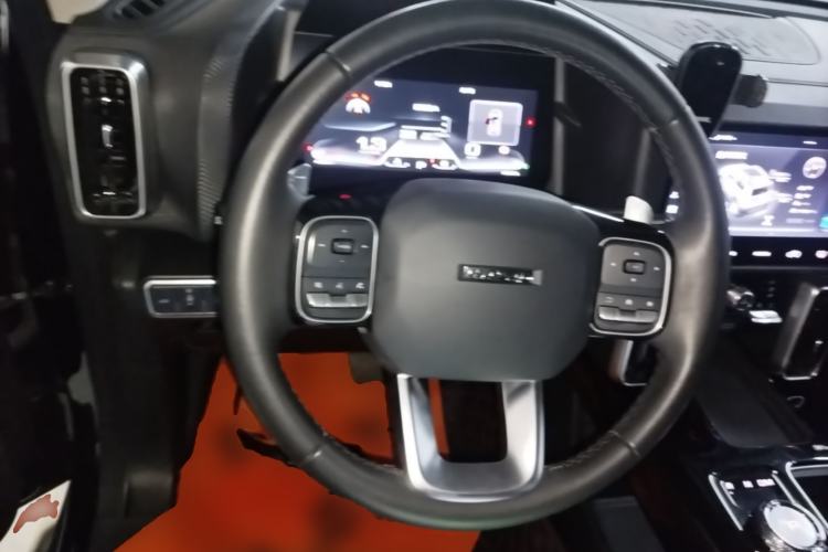 Used Haval DARGO 2021 2.0T DCT 4x4 Chinese Rural Dog Edition Steering Wheel