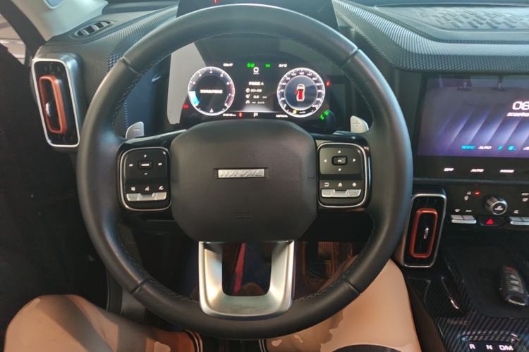 Used Haval DARGO 2021 1.5T DCT Two-Wheel Drive "Wangcai" Edition Steering Wheel