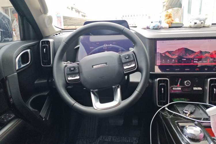 Used Haval DARGO 2021 1.5T DCT Two-Wheel Drive Border Collie Edition Steering Wheel