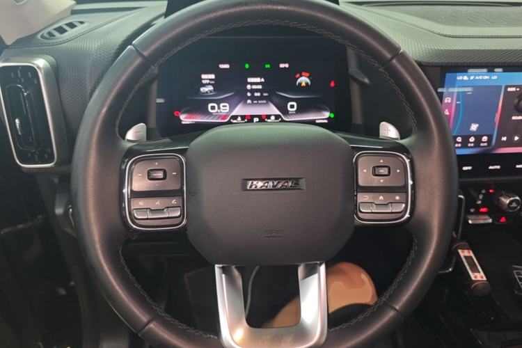 Used Haval DARGO 2021 2.0T DCT 4x4 Chinese Rural Dog Edition Steering Wheel
