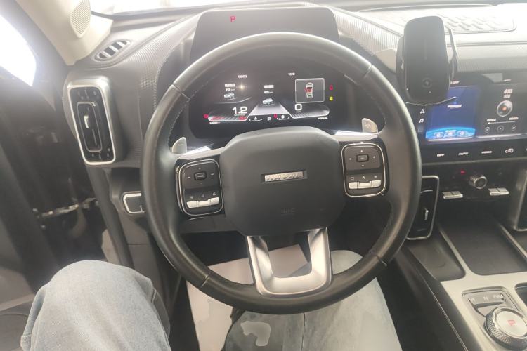 Used Haval DARGO 2021 1.5T DCT Two-Wheel Drive Labrador Edition Steering Wheel