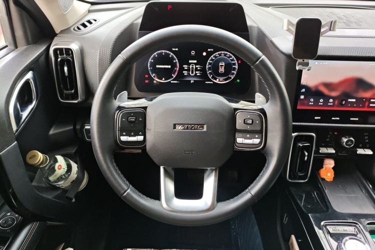 Used Haval DARGO 2021 2.0T DCT 4x4 Chinese Rural Dog Edition Steering Wheel