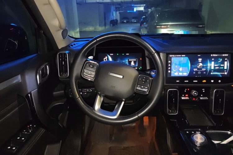 Used Haval DARGO 2021 1.5T DCT Two-Wheel Drive "Wangcai" Edition Steering Wheel