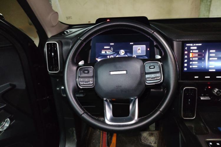 Used Haval DARGO 2021 1.5T DCT Two-Wheel Drive Labrador Edition Steering Wheel