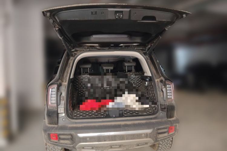 Used Haval DARGO 2021 2.0T DCT 4x4 Chinese Rural Dog Edition Trunk