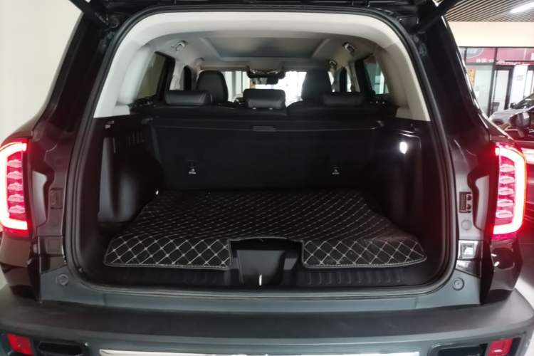 Used Haval DARGO 2021 2.0T DCT 4x4 Chinese Rural Dog Edition Trunk
