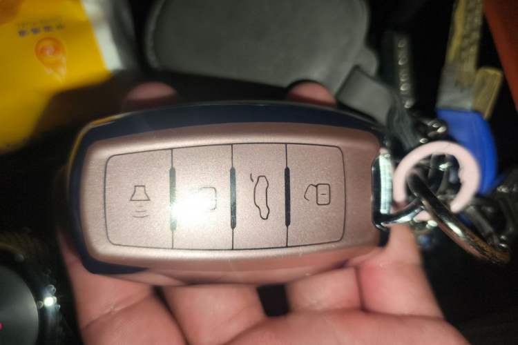 Used Haval DARGO 2021 Revised Version 2.0T DCT Four-Wheel Drive "Hao Tian Que" Edition Vehicle Key