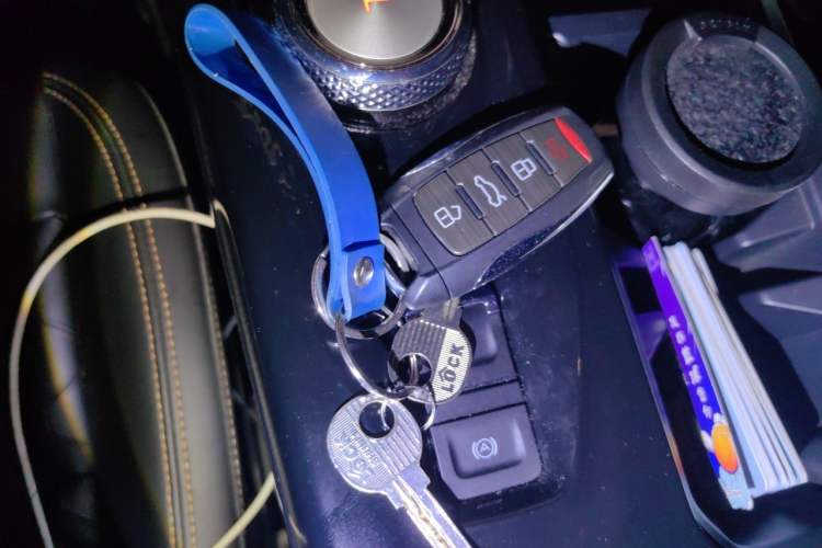 Used Haval DARGO 2021 2.0T DCT 4x4 Chinese Rural Dog Edition Vehicle Key