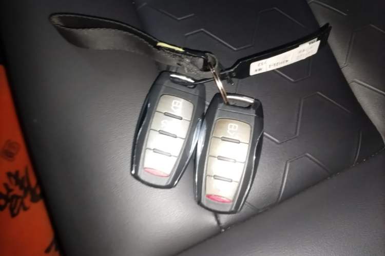 Used Haval DARGO 2021 2.0T DCT 4x4 Chinese Rural Dog Edition Vehicle Key