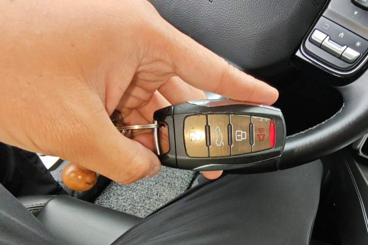 Used Haval DARGO 2021 1.5T DCT Two-Wheel Drive Labrador Edition Vehicle Key