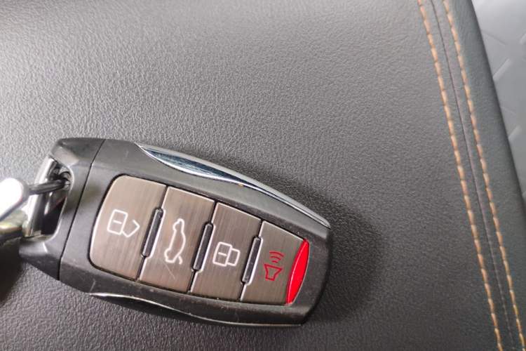 Used Haval DARGO 2021 2.0T DCT 4x4 Chinese Rural Dog Edition Vehicle Key
