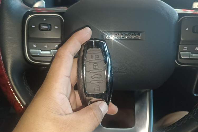 Used Haval DARGO 2021 Revised Version 2.0T DCT Four-Wheel Drive "Hao Tian Que" Edition Vehicle Key