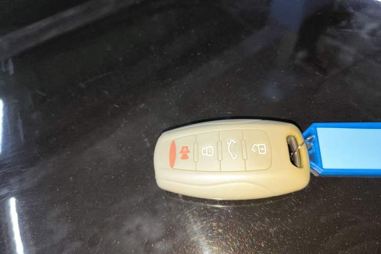 Used Haval DARGO 2021 1.5T DCT Two-Wheel Drive Border Collie Edition Vehicle Key