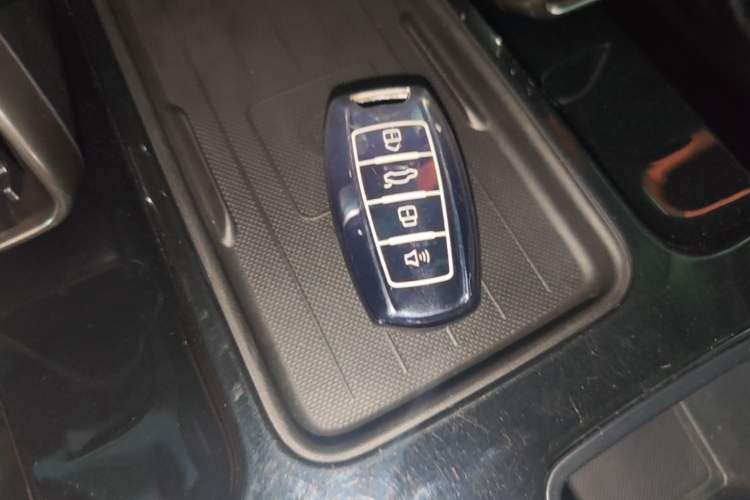 Used Haval DARGO 2021 2.0T DCT 4x4 Chinese Rural Dog Edition Vehicle Key