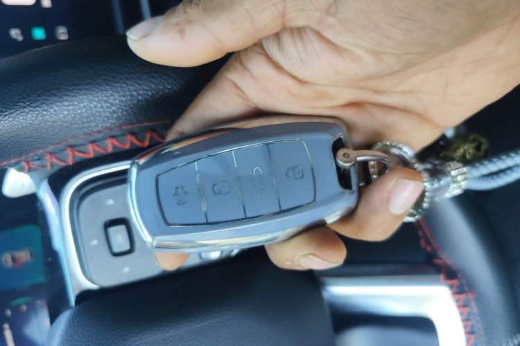 Used Haval DARGO 2021 1.5T DCT Two-Wheel Drive Labrador Edition Vehicle Key