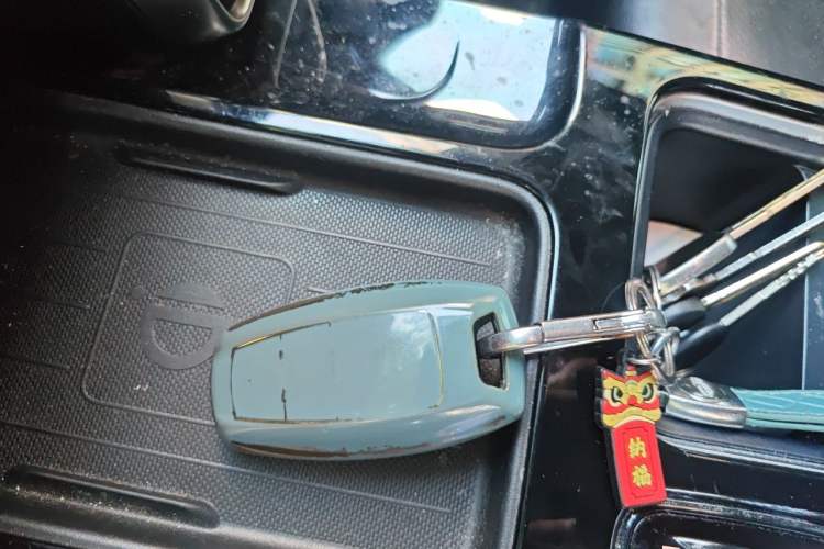 Used Haval DARGO 2021 2.0T DCT 4x4 Chinese Rural Dog Edition Vehicle Key