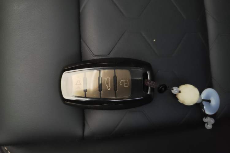 Used Haval DARGO 2021 1.5T DCT Two-Wheel Drive Border Collie Edition Vehicle Key