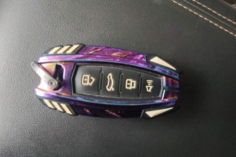 Used Haval DARGO 2021 1.5T DCT Two-Wheel Drive Border Collie Edition Vehicle Key