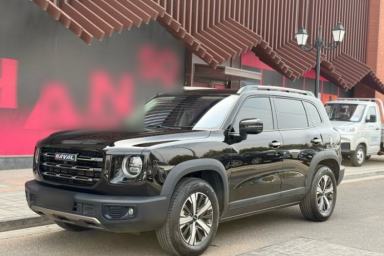 Used Haval DARGO 2021 1.5T DCT Two-Wheel Drive Labrador Edition