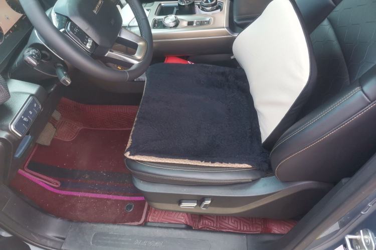 Used Haval DARGO 2021 1.5T DCT Two-Wheel Drive Labrador Edition Driver Seat