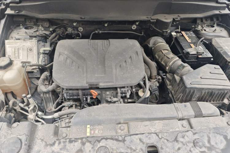 Used Haval DARGO 2021 2.0T DCT Two-Wheel Drive Chinese Mastiff Edition Engine Bay