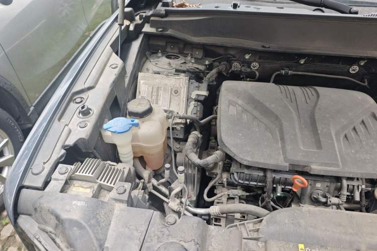 Used Haval DARGO 2021 2.0T DCT Two-Wheel Drive Chinese Mastiff Edition Engine Bay Right