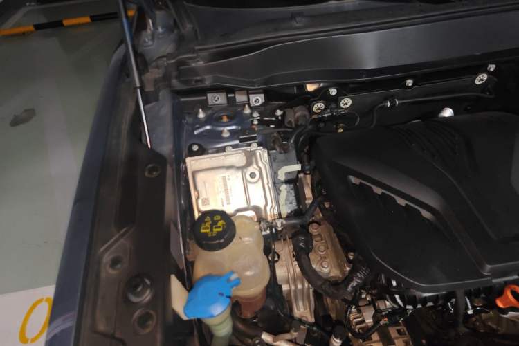 Used Haval DARGO 2021 2.0T DCT All-Wheel-Drive "Hao Tian Quan" Edition Engine Bay Right